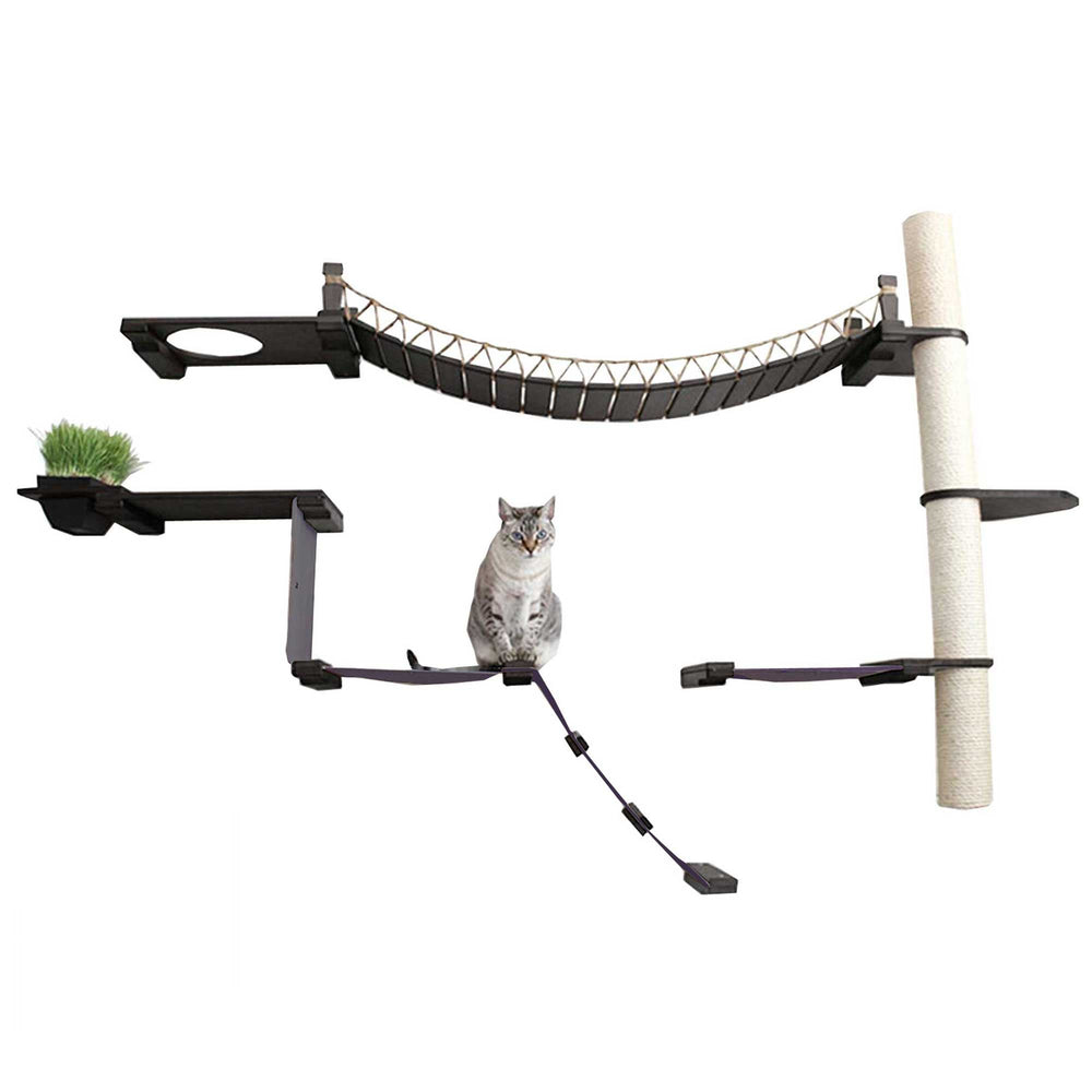 Cat sitting on the Onyx Bamboo Expedition Cat Condo with Charcoal Gray Canvas