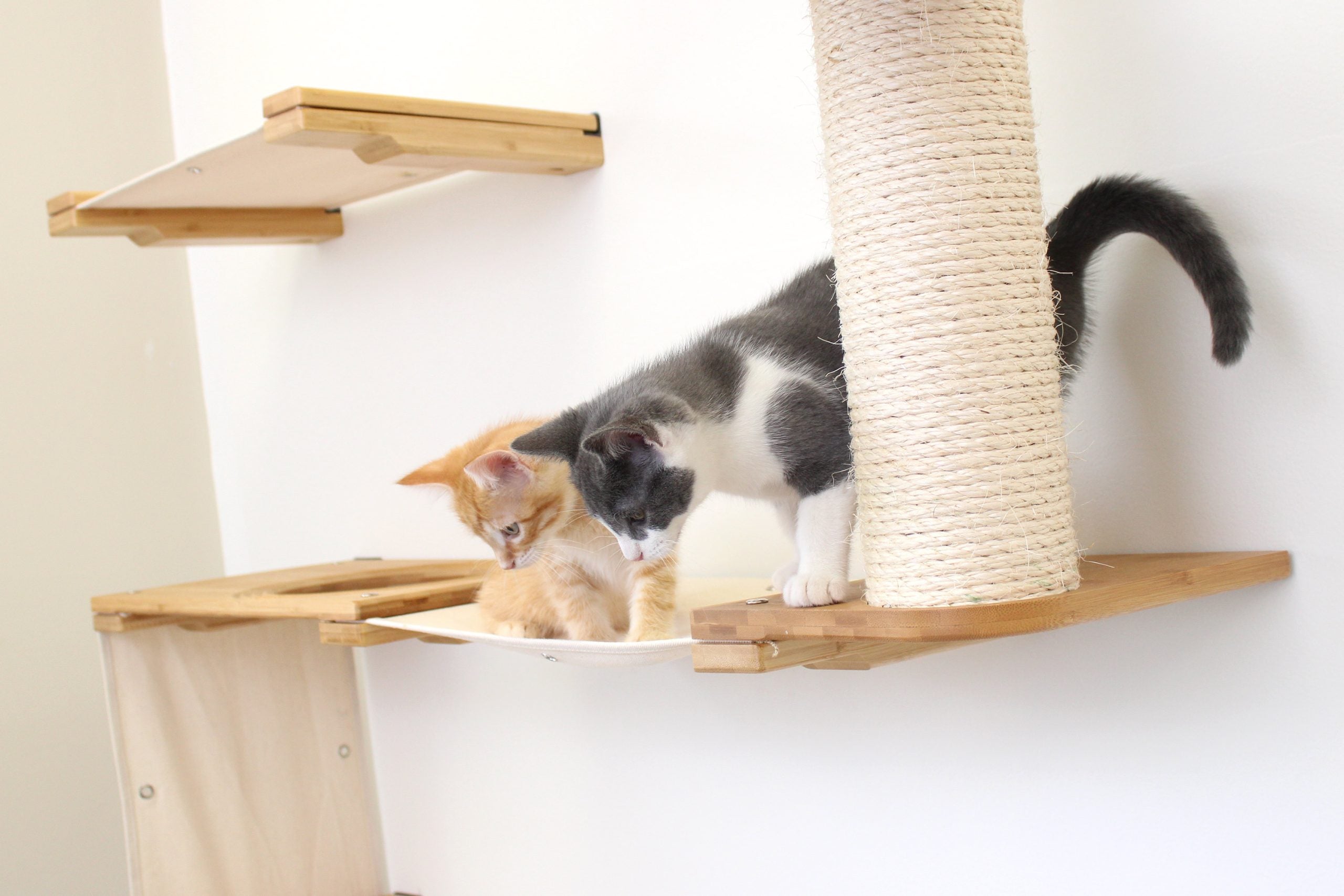 アレスグラフィオ 店CatastrophiCreations Climb Multiple-Level Cat Hammock Climbing  Activity