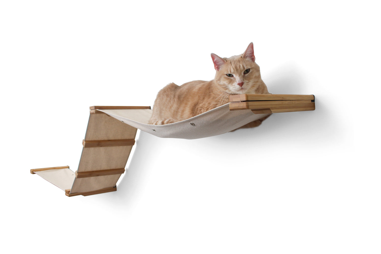 Unconventional Cat Furniture For Feline Instincts Catastrophic