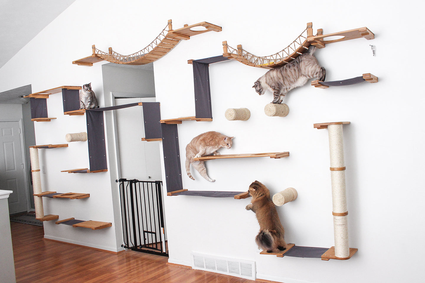 diy wall mounted cat shelves