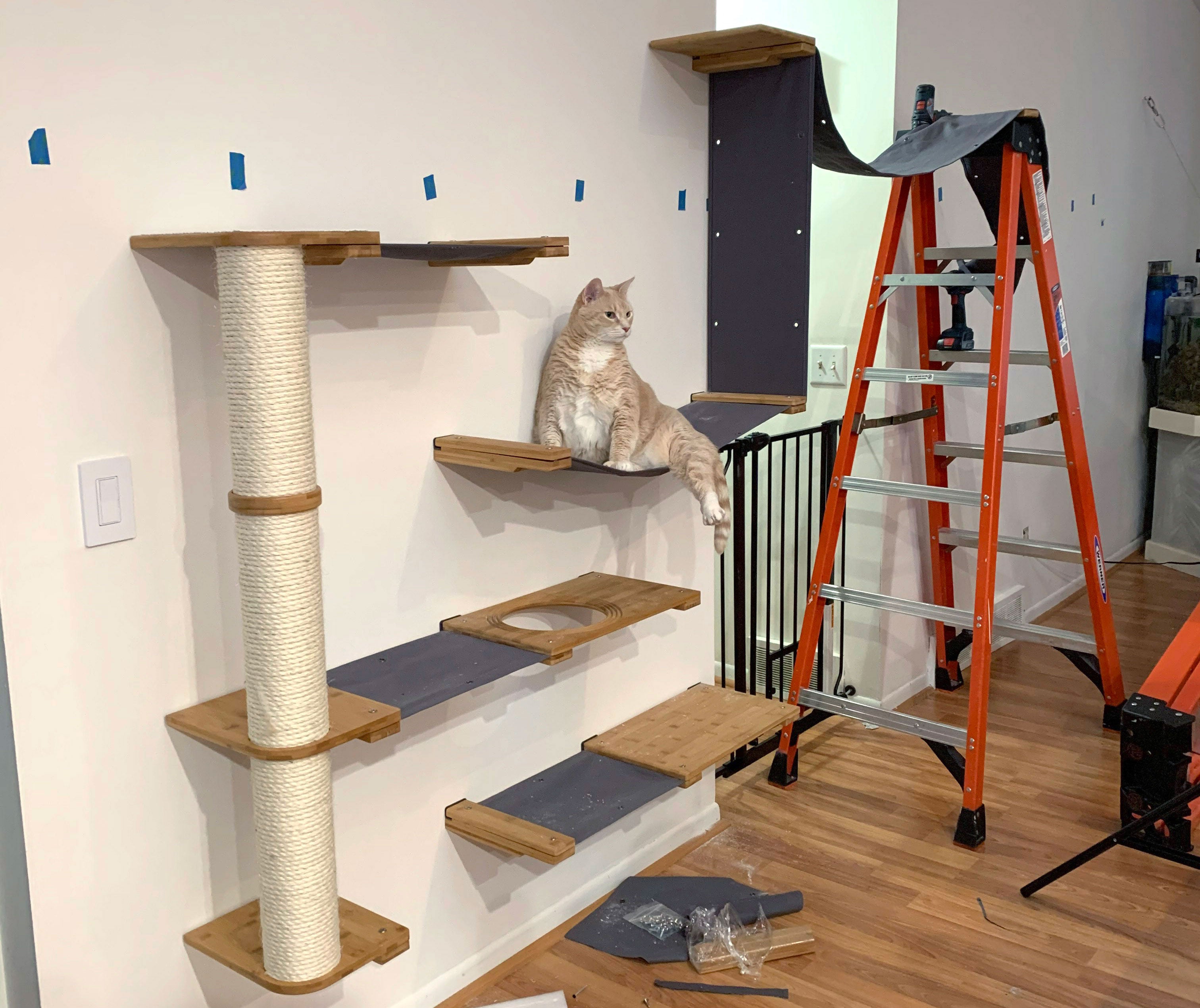 Wall Mounted Cat Tree I Made For The Cutest Cats In The Cat Tree, Diy ...
