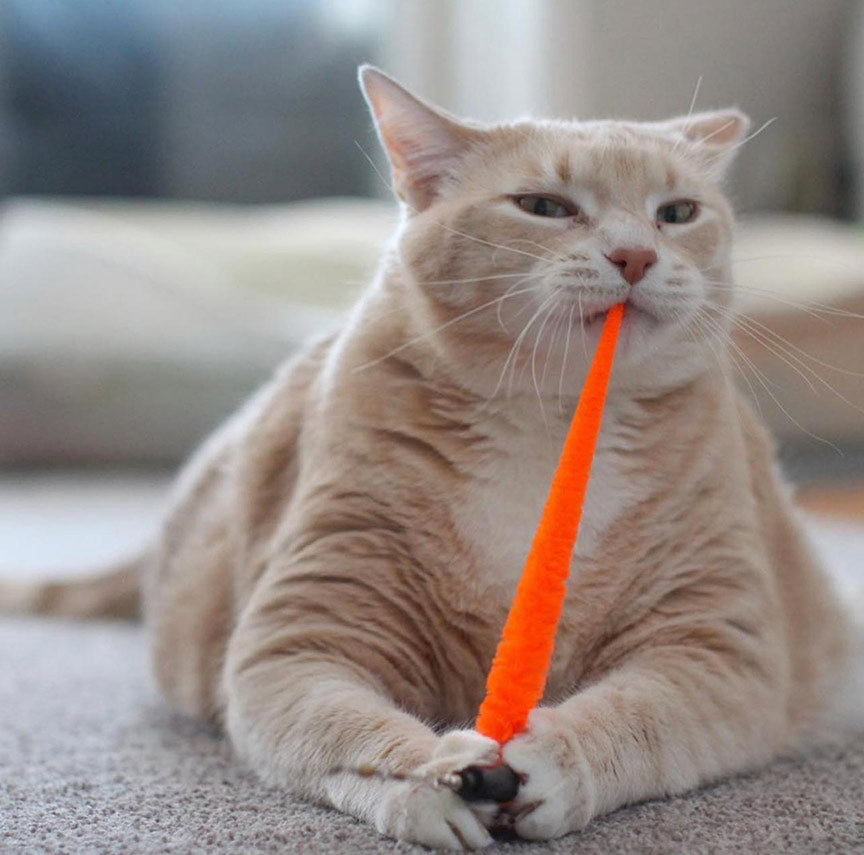 Best Cat Toys 2023 - 7 of the Most Fun Cat Toys