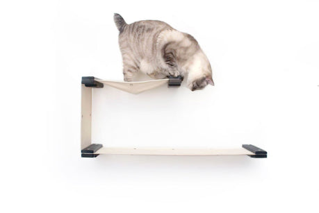 Modern Cat Furniture: Wall-Mounted, Shelves, Cat Playground