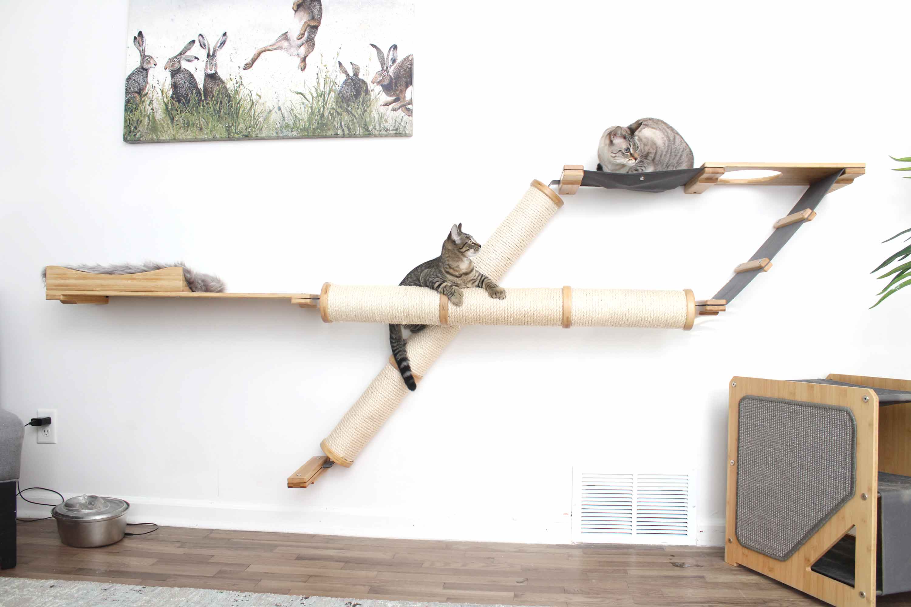 Cat shop condo wall